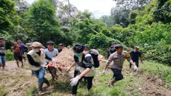 11 Kasus Konflik Harimau dan Beruang Terjadi di Agam, Ini Respons BKSDA