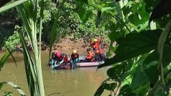 Diduga Diterkam Buaya, Pria di Agam Ditemukan Tewas Usai Hilang Saat Panen