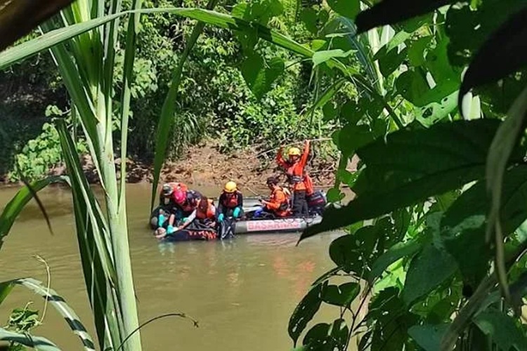 Diduga Diterkam Buaya, Pria di Agam Ditemukan Tewas Usai Hilang Saat Panen