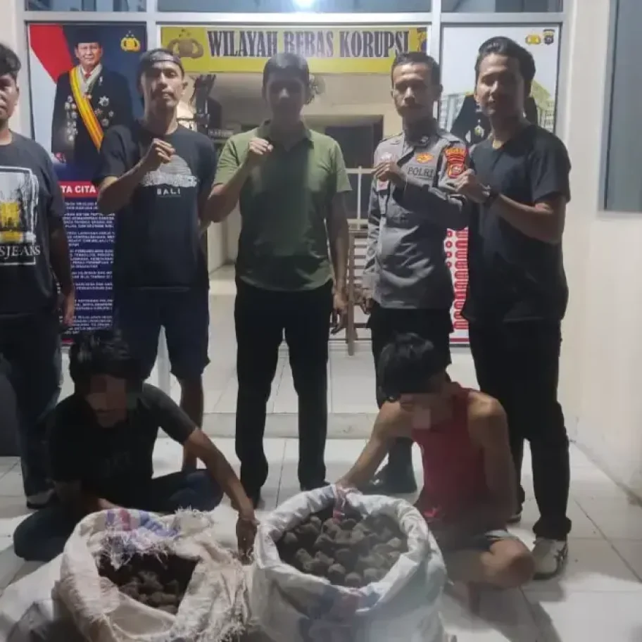 Dua Pencuri Getah Gambir Ditangkap di Lengayang