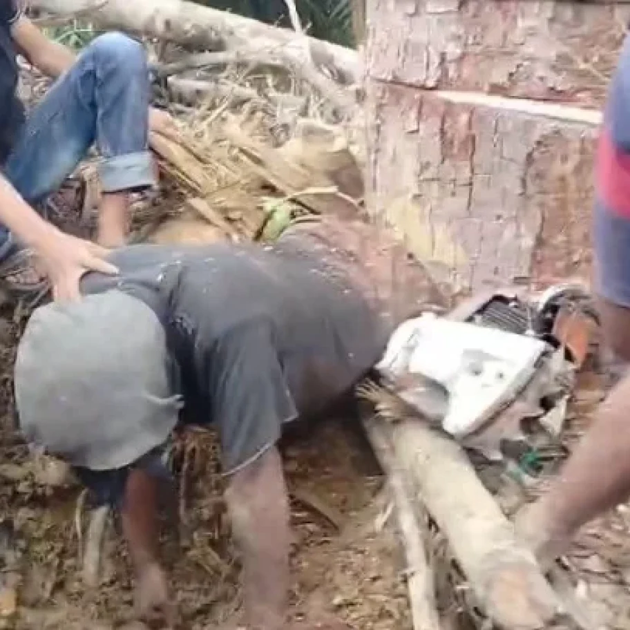 Kaki Terjepit Pohon Saat Bekerja, Warga Solok Selatan Dievakuasi Dramatis