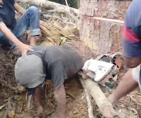 Kaki Terjepit Pohon Saat Bekerja, Warga Solok Selatan Dievakuasi Dramatis