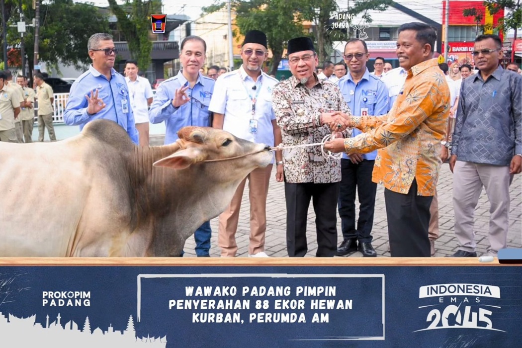 Perumda Air Minum Padang Salurkan 88 Hewan Kurban Jelang Idul Adha
