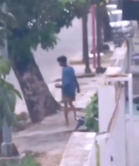 Petugas Satpol PP Dilempar Batu Saat Bertugas di Padang