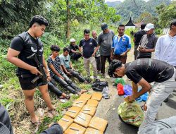 Jaringan Narkoba Terbongkar: 3 Kurir Ganja 17 Kg Dibekuk di Agam, Sumbar