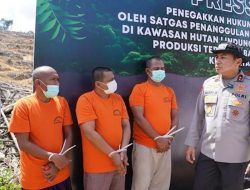 4 Perambah Hutan Lindung Ditangkap Polda Riau, Puluhan Hektare Sawit Ilegal Disita