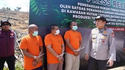 4 Perambah Hutan Lindung Ditangkap Polda Riau, Puluhan Hektare Sawit Ilegal Disita