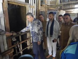 Dubes Selandia Baru Kagumi Pengelolaan Sapi Perah Padang Panjang