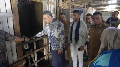 Dubes Selandia Baru Kagumi Pengelolaan Sapi Perah Padang Panjang