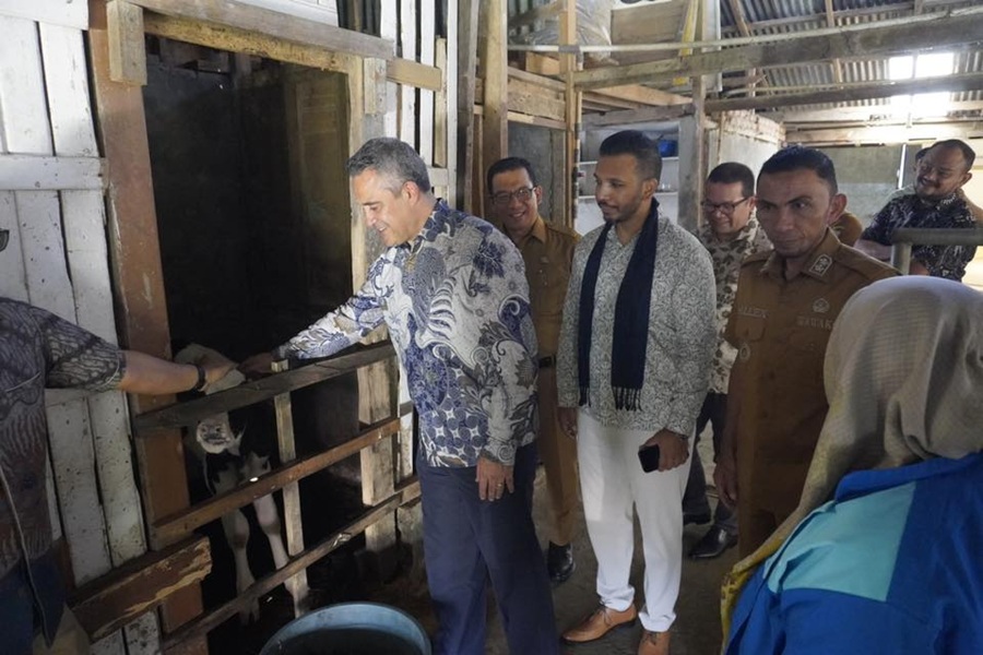 Dubes Selandia Baru Kagumi Pengelolaan Sapi Perah Padang Panjang