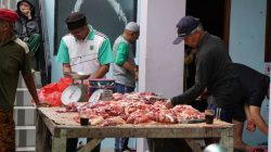 Iduladha 1446 H: 591 Hewan Kurban Siap Didistribusikan di Padang Panjang