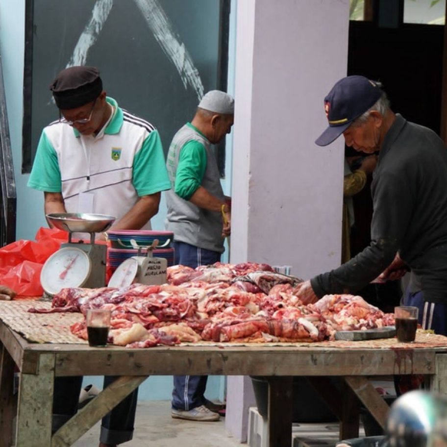 Iduladha 1446 H: 591 Hewan Kurban Siap Didistribusikan di Padang Panjang