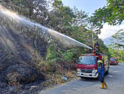 Kebakaran Lahan 3 Hektar di Padang, BPBD Padang Terjun Atasi Titik Api