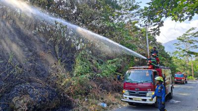 Kebakaran Lahan 3 Hektar di Padang, BPBD Padang Terjun Atasi Titik Api