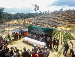 Kebun Sawit Ilegal di Hutan Lindung Kampar Terbongkar, Empat Tersangka Ditangkap