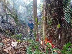 Padang Dilanda Karhutla: Tiga Hektar Lahan di Perbukitan Balai Gadang Hangus Terbakar