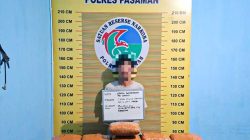 Polres Pasaman Gagalkan Peredaran Ganja, 11 Paket Besar Disita dari Pemuda Bukittinggi