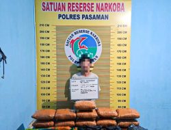 Polres Pasaman Gagalkan Peredaran Ganja, 11 Paket Besar Disita dari Pemuda Bukittinggi