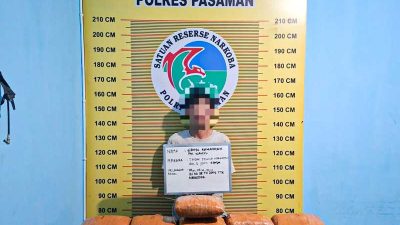 Polres Pasaman Gagalkan Peredaran Ganja, 11 Paket Besar Disita dari Pemuda Bukittinggi