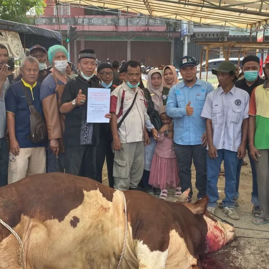 Sapi Kurban Presiden Prabowo Seberat 1 Ton Gembirakan Ratusan Warga Pasaman Barat