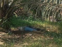 Tragis di Solok Selatan: Dua Wanita Tewas Diduga Akibat Utang, Pelaku Keluarga Sendiri