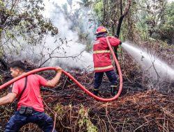 Api Padam, Lahan di Taluak Pariaman Selamat dari Amukan Si Jago Merah