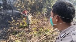 BNPB Catat Gempa di Poso, Longsor di Brebes, dan Karhutla Meluas di Sumatra hingga Kalimantan