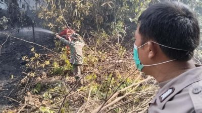 BNPB Catat Gempa di Poso, Longsor di Brebes, dan Karhutla Meluas di Sumatra hingga Kalimantan