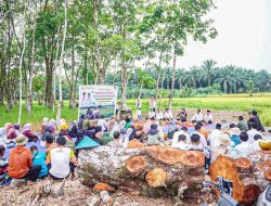 Bupati Annisa Dorong Ketahanan Pangan Dharmasraya Melalui Inovasi dan Modernisasi Pascapanen