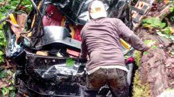 Kecelakaan Maut di Perbatasan Jambi-Sumbar, Pikap Pembawa Kelapa Terjun ke Jurang, Dua Nyawa Melayang