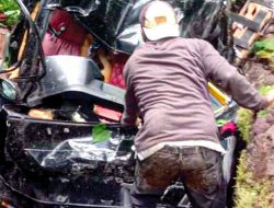 Kecelakaan Maut di Perbatasan Jambi-Sumbar, Pikap Pembawa Kelapa Terjun ke Jurang, Dua Nyawa Melayang