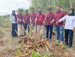 Lapas Terbuka Pasaman Panen Ubi Roti, Dukung Ketahanan Pangan Dan Bekali Warga Binaan kemandirian