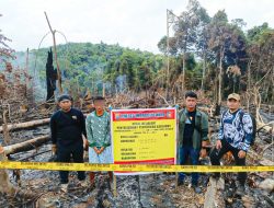Pelaku Pembakar Lahan di Indragiri Hulu Ditangkap, Jadi Peringatan Tegas bagi Pelaku Perusak Lingkungan