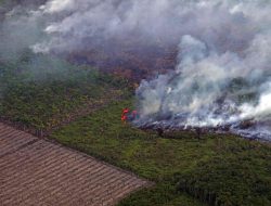 Pemerintah Pusat Perkuat Penanganan Karhutla di Sumatera Selatan: Kunjungan BNPB dan KLHK Tegaskan Komitmen