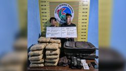 Satresnarkoba Polres Pasaman Gagalkan Penyelundupan 21 Paket Ganja, Dua Pelaku Diringkus