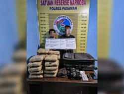 Satresnarkoba Polres Pasaman Gagalkan Penyelundupan 21 Paket Ganja, Dua Pelaku Diringkus