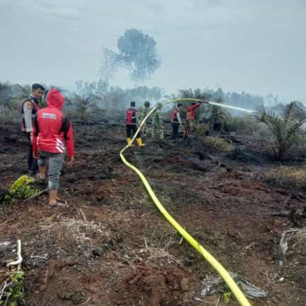 BNPB Catat 30 Bencana Terjadi di Indonesia Sepanjang Agustus 2025