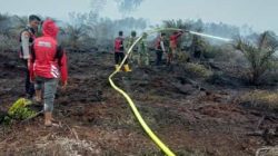 BNPB Catat 30 Bencana Terjadi di Indonesia Sepanjang Agustus 2025