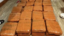 Gagal Pasok 40 Kg Ganja, Kurir Asal Padang Dibekuk Polda Lampung
