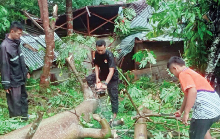 Pohon Tumbang Hantam Rumah di Painan, Satu Keluarga Selamat Meski Bangunan Rusak Berat