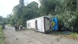 Rem Blong Diduga Jadi Penyebab Kecelakaan Bus Damri di Mentawai, Enam Penumpang Luka-Luka