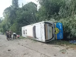 Rem Blong Diduga Jadi Penyebab Kecelakaan Bus Damri di Mentawai, Enam Penumpang Luka-Luka