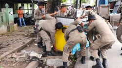 Satpol PP Padang Tertibkan Pedagang di Jalan Air Tawar Barat dan Jhoni Anwar