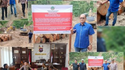 Sorotan Aktivitas Penebangan Liar di Solok Anggota DPRD Pesisir Selatan Turun Tangan, Politisi Lokal Absen