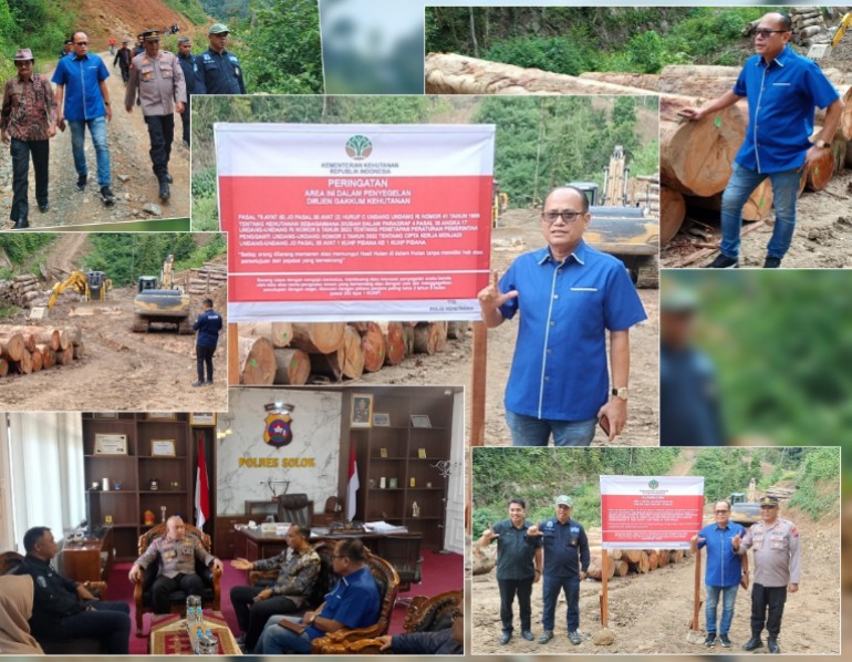 Sorotan Aktivitas Penebangan Liar di Solok Anggota DPRD Pesisir Selatan Turun Tangan, Politisi Lokal Absen