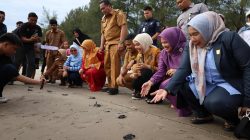 Wagub Sumbar Vasko Ruseimy Serahkan Induk Unggul Ikan Lele dan Lepas Tukik di Kota Pariaman