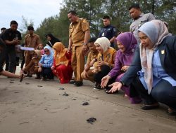 Wagub Sumbar Vasko Ruseimy Serahkan Induk Unggul Ikan Lele dan Lepas Tukik di Kota Pariaman