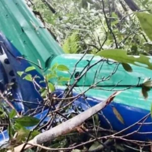 Helikopter di Hutan Kalsel Ditemukan, Tim SAR Lanjutkan Evakuasi Korban