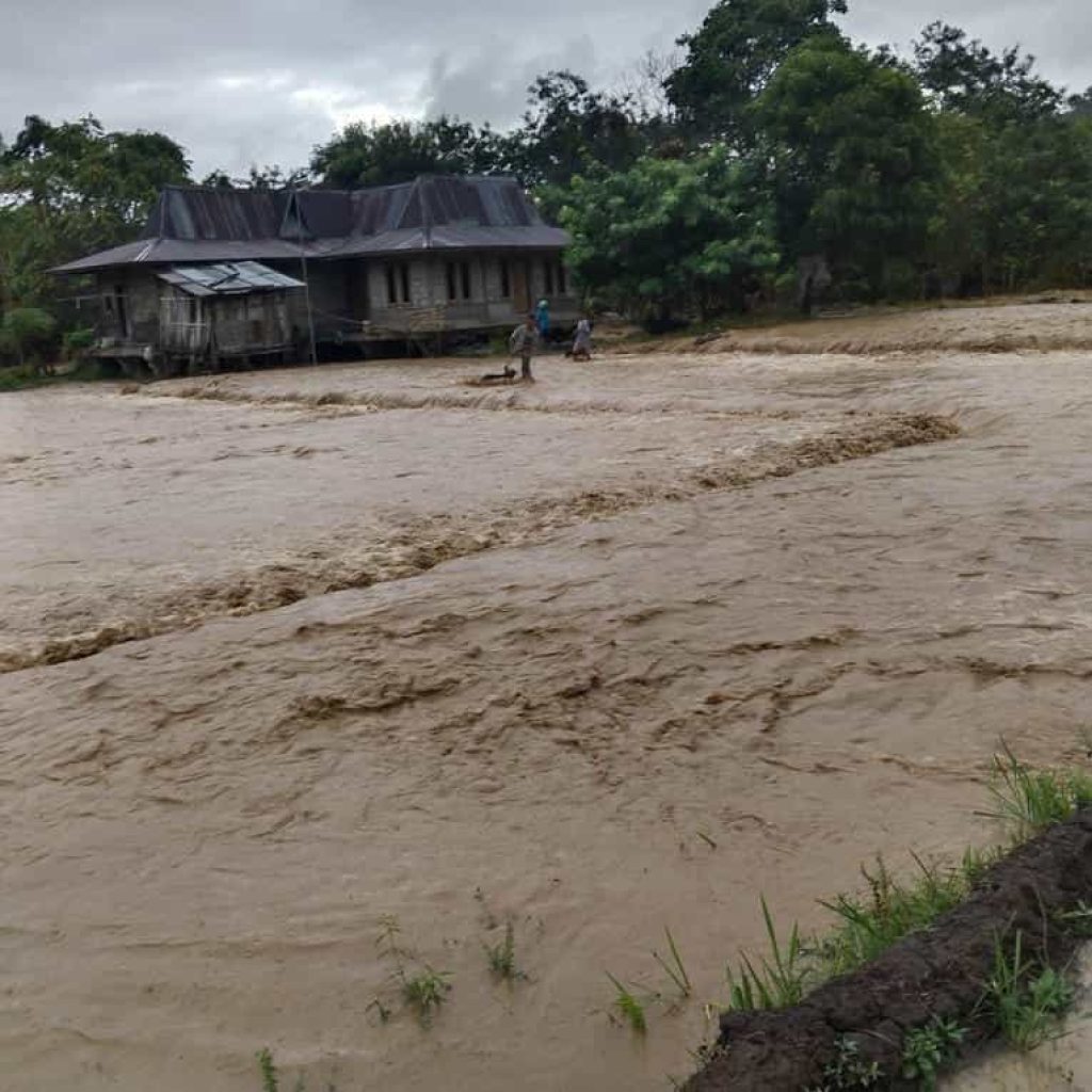 Nagekeo Berduka: Mengungkap Fakta Pilu Banjir Bandang dan Perjuangan Korban di Tengah Status Tanggap Darurat