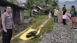 Tragedi Rel Kereta Api di Padangpariaman, Pria Beristri Tewas, Janda Luka Parah
